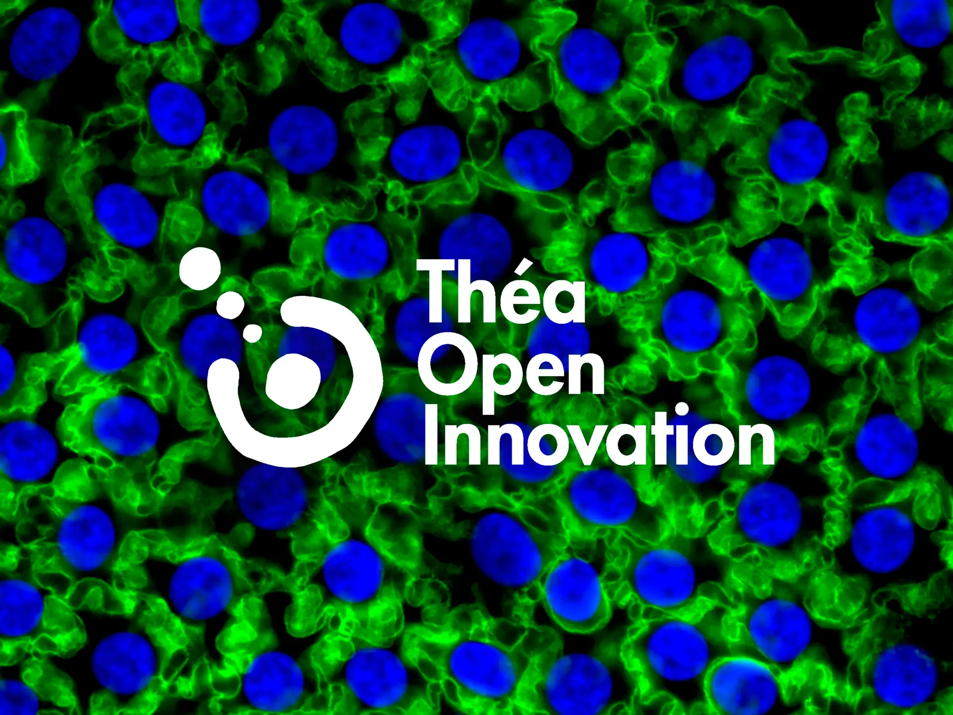 Théa Open Innovation, une structure dédiée à l'open innovation